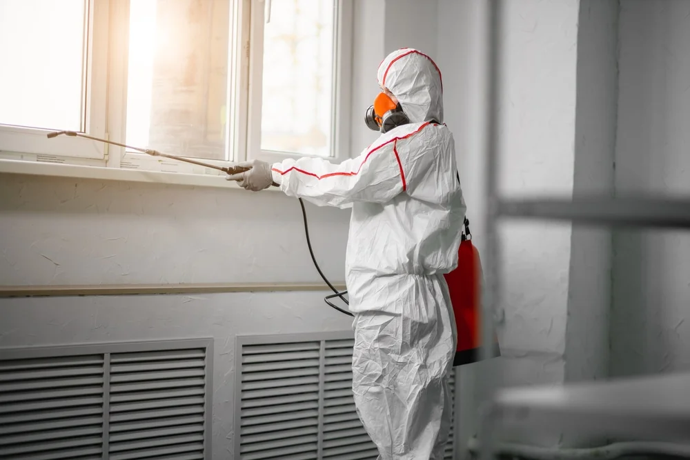 Professional mold remediation services in Mount Berry, GA